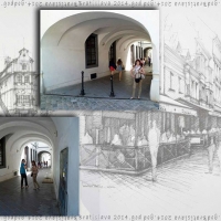 Bratislava seminar 2014. godina