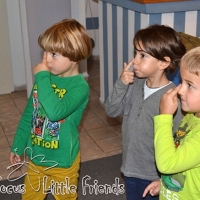 Focus Little Friends septembar 2014. godina